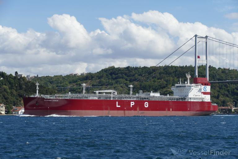CLIPPER VENUS photo