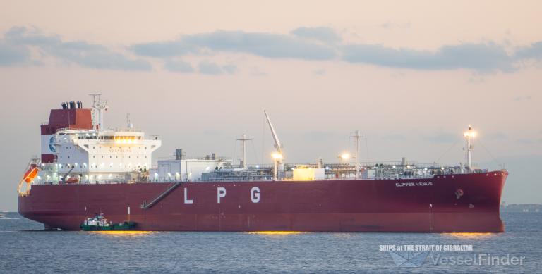 CLIPPER VENUS