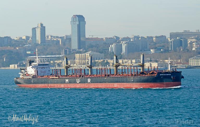 AFRICAN DIPPER photo