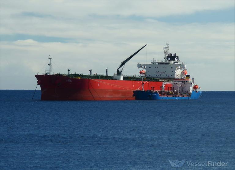 HAFNIA EXCELLENCE photo
