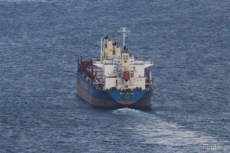 SEAL ISLAND photo