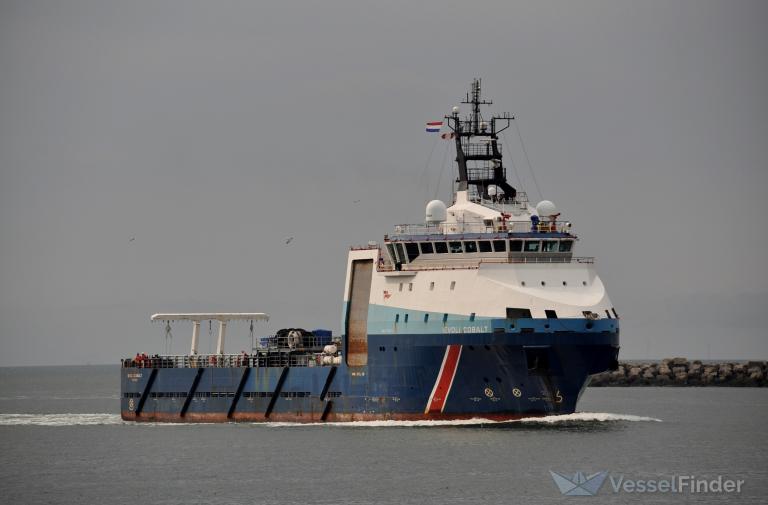 IEVOLI COBALT