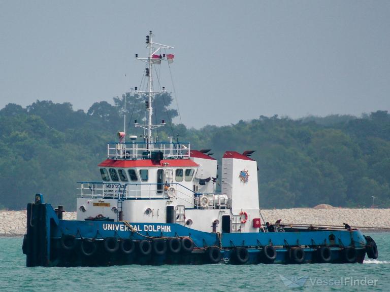 UNIVERSAL DOLPHIN photo