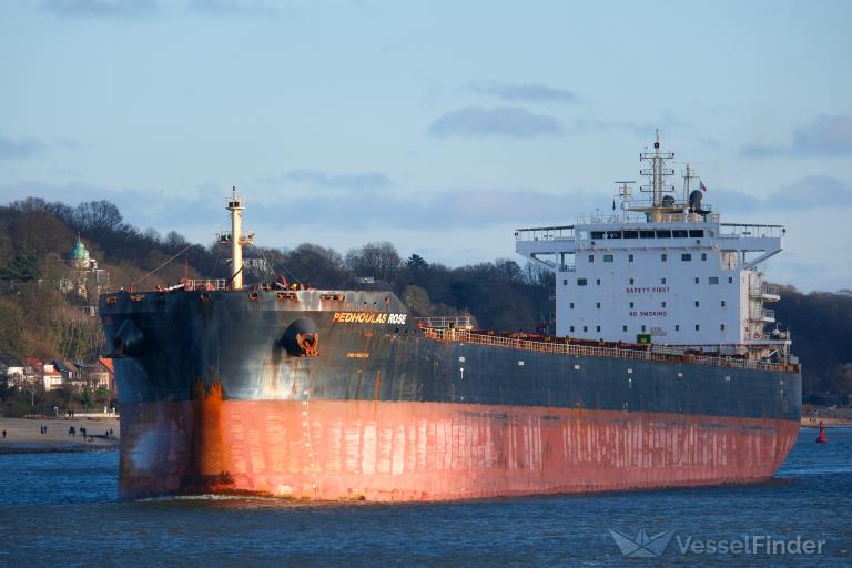 PEDHOULAS ROSE photo