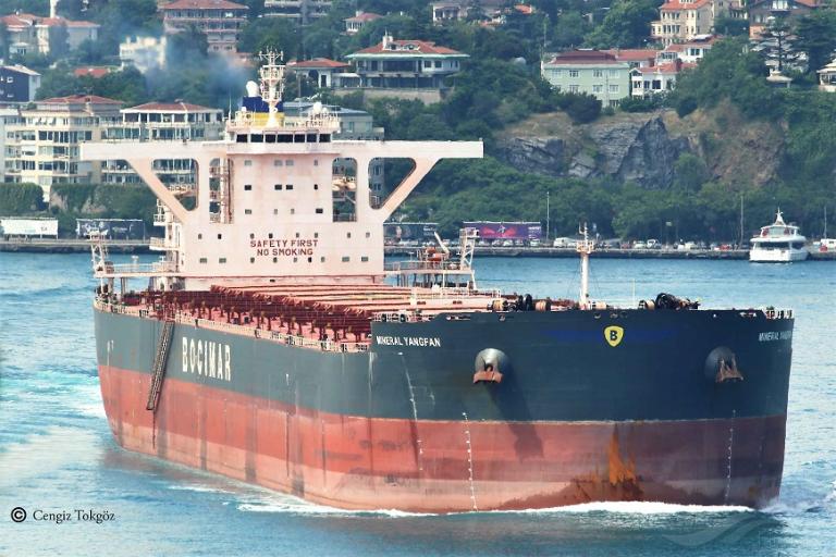 MINERAL SHOUGANG INT photo