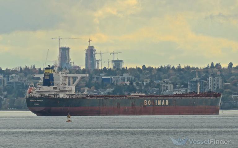 WINNING WISDOM photo