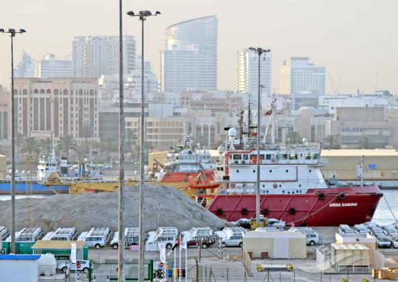 DOLPHIN GEO SURVEY photo