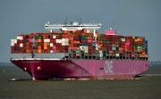 ONE STORK, Container Ship - Details and current position - IMO