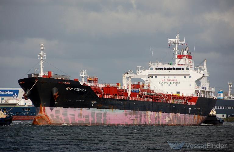 MTM TORTOLA photo