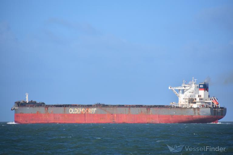 HEDWIG OLDENDORFF photo