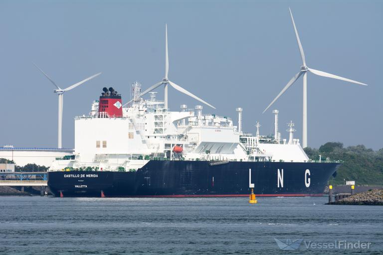 CASTILLO DE MERIDA photo