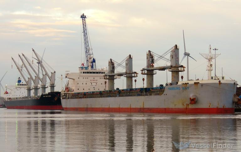 SPIRIT OF KOBE photo