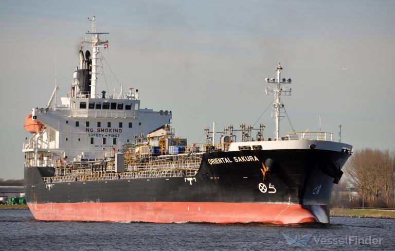 ORIENTAL SAKURA photo