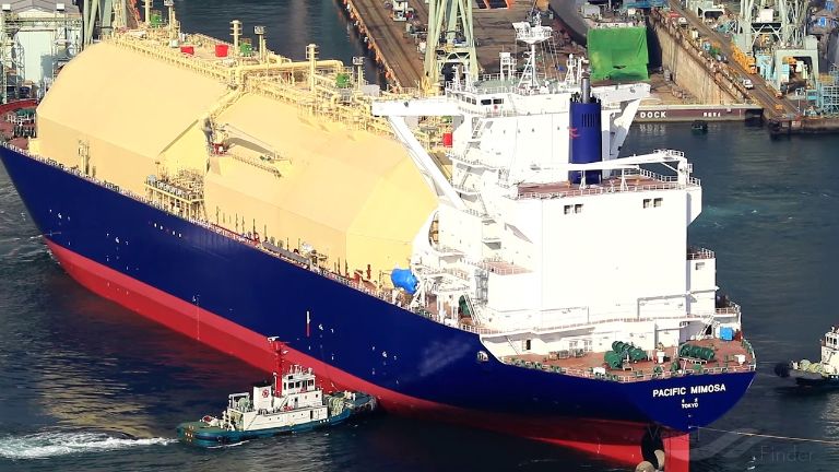 PACIFIC MIMOSA photo