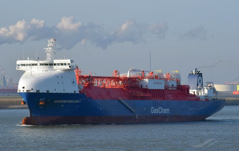GASCHEM BELUGA photo