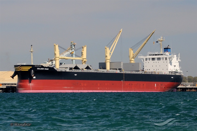 GOLDEN HAWK, Bulk Carrier - Details And Current Position - IMO 9745598 ...