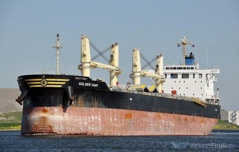 Vessel Characteristics: Ship PACIFIC SPIKE (General Cargo) Registered in  Panama - Vessel details, Current position and Voyage information - IMO  9681998MMSI 9681998Call Sign 3EEX6