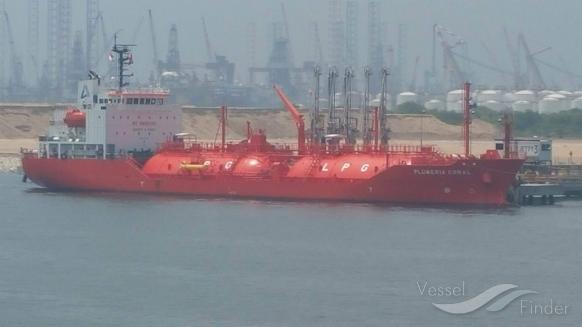 PLUMERIA CORAL photo