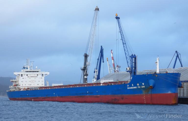 SHANDONG FU ZHI photo