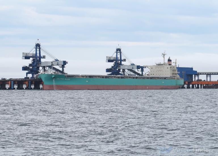 CALYPSO ISLAND photo