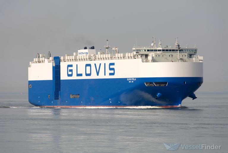 GLOVIS STELLA