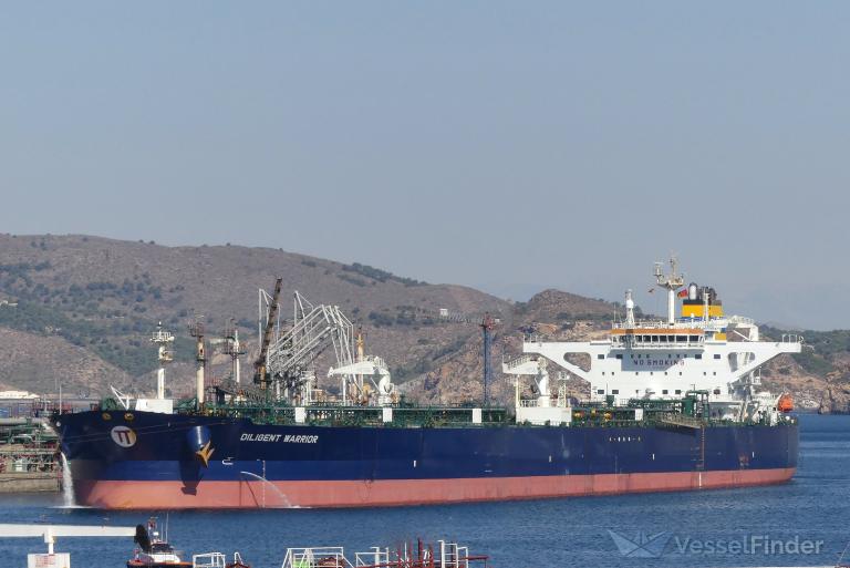 DILIGENT WARRIOR photo