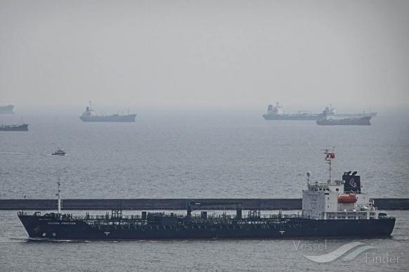 GOLDEN PROCYON photo