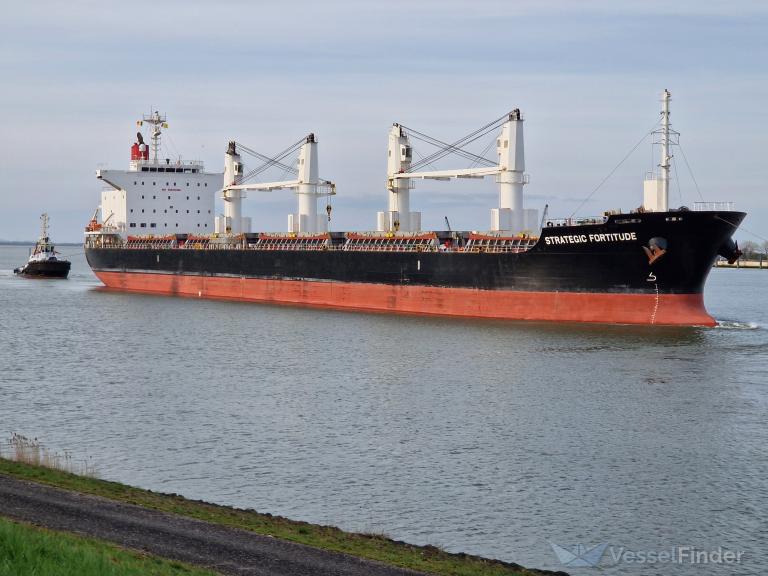 STRATEGIC FORTITUDE photo