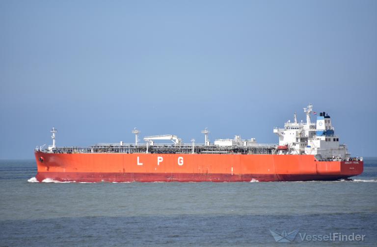 AEOLIAN PEARL photo