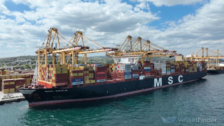 MSC ERICA photo