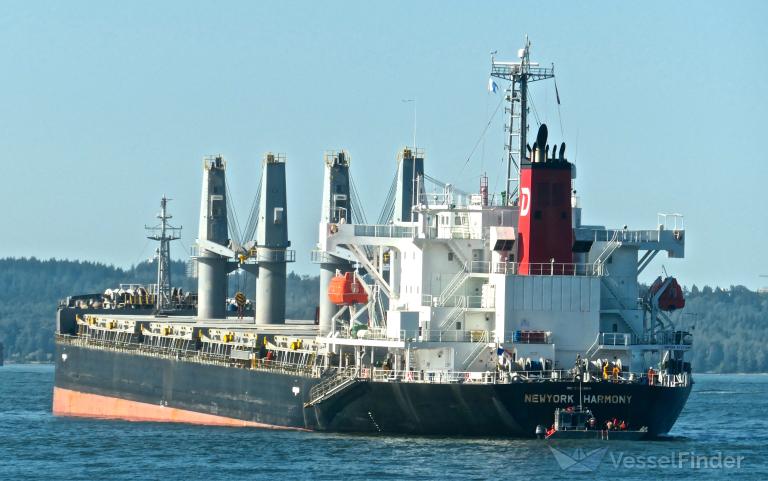 NEWYORK HARMONY photo