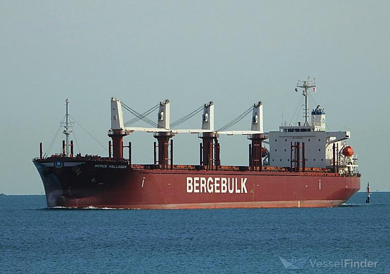 BERGE HALLASAN photo