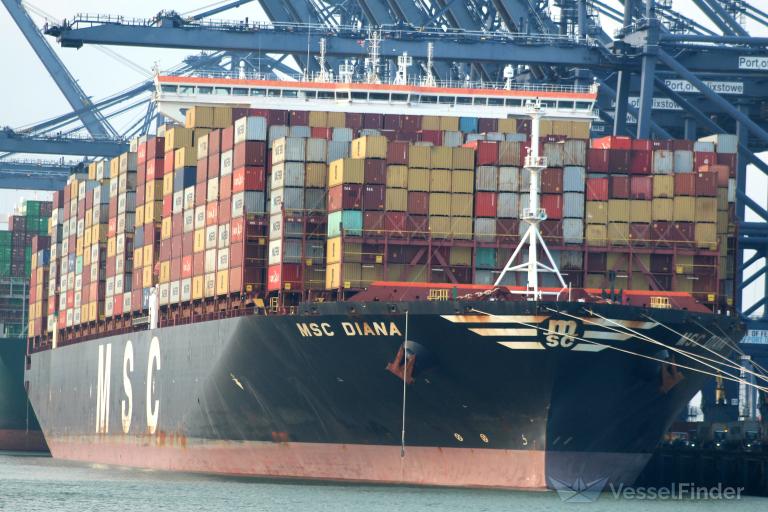 MSC DIANA photo