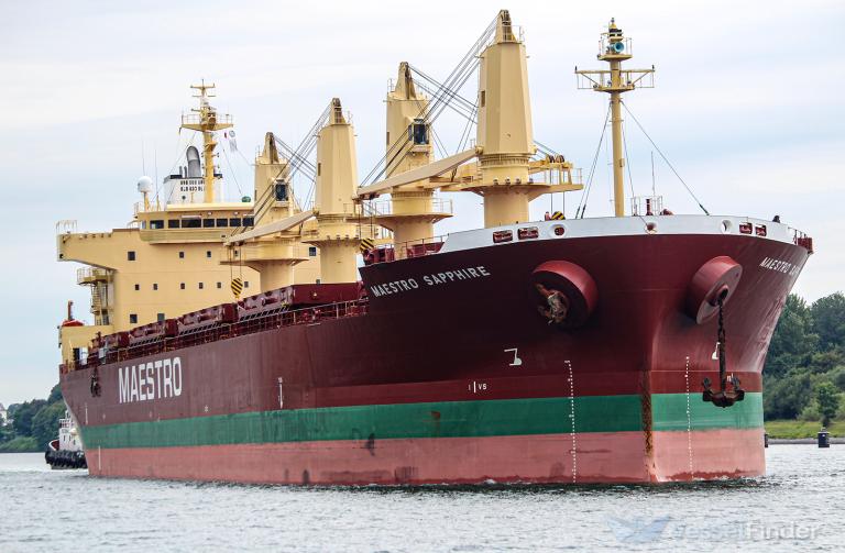 DEVBULK SERVET photo