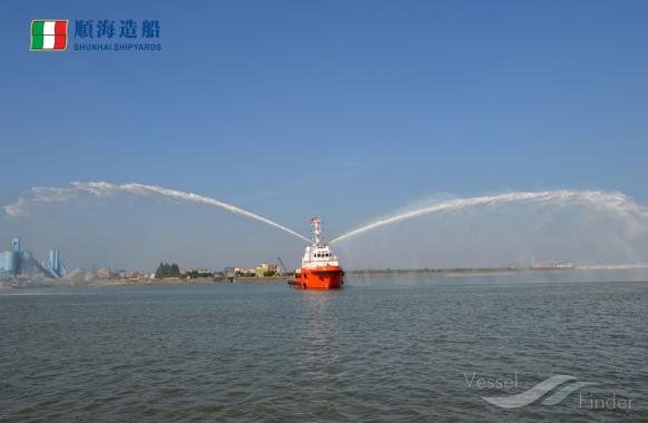 SEAEAGLES DOLPHIN photo