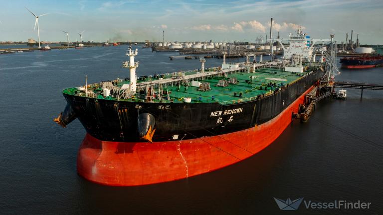 神navi oil 新品・未開封 鮎 水中糸 ZX複合メタル | サンライン - 釣り仕掛け・仕掛け用品