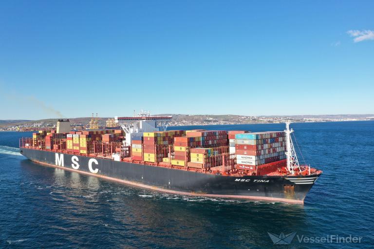 MSC TINA photo