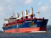 FU XING HAI, Bulk Carrier - Details and current position - IMO 9751298 -  VesselFinder