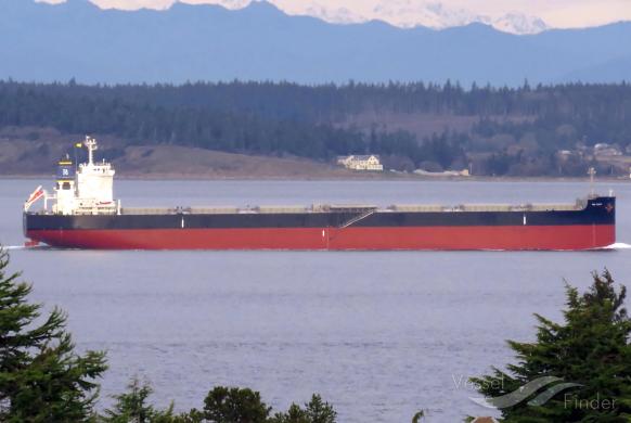 RB EDEN, Bulk Carrier - Details and current position - IMO 9765718 ...