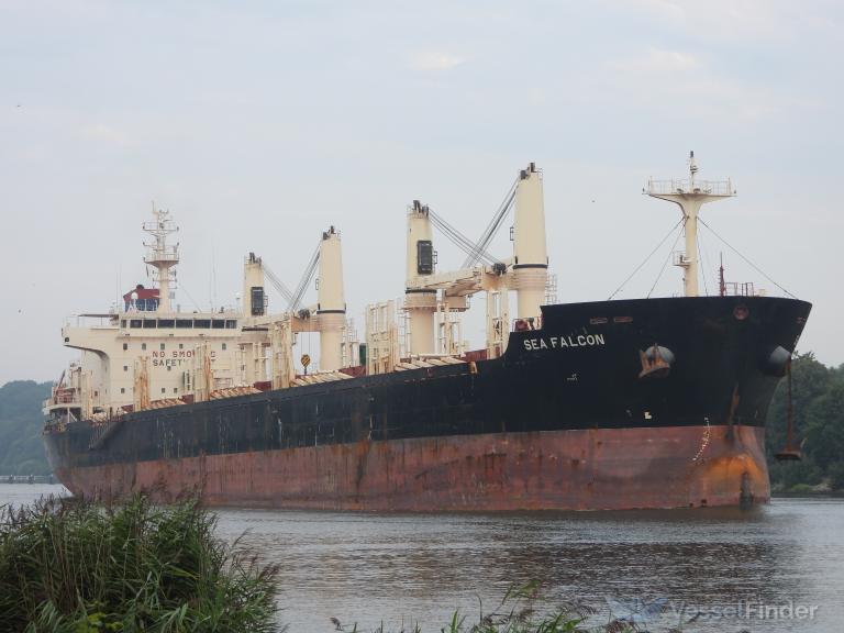 SEA FALCON photo