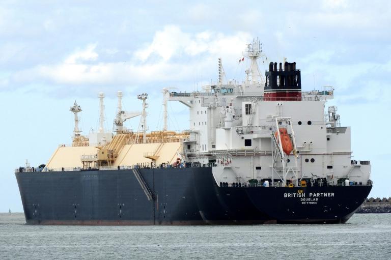 BRITISH PARTNER photo