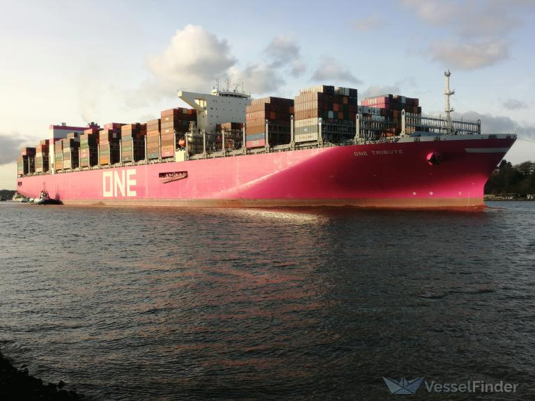 ONE TRIBUTE, Container Ship - Данные судна и текущее положение - IMO ...