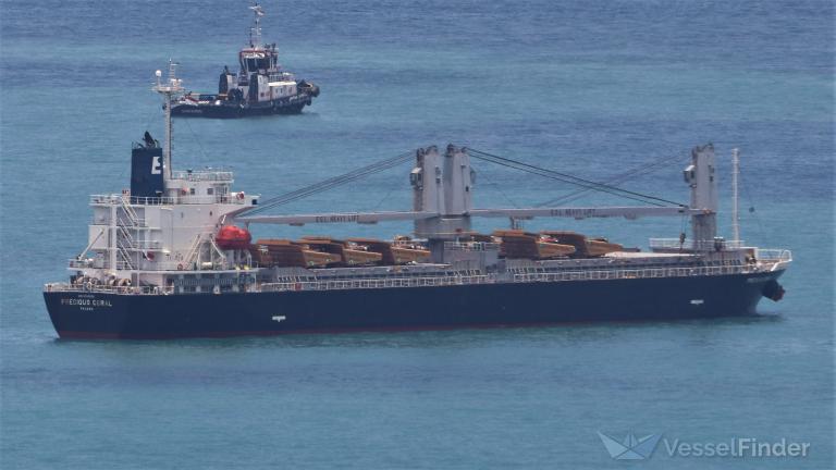 PRECIOUS CORAL photo