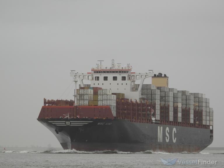 MSC AINO photo