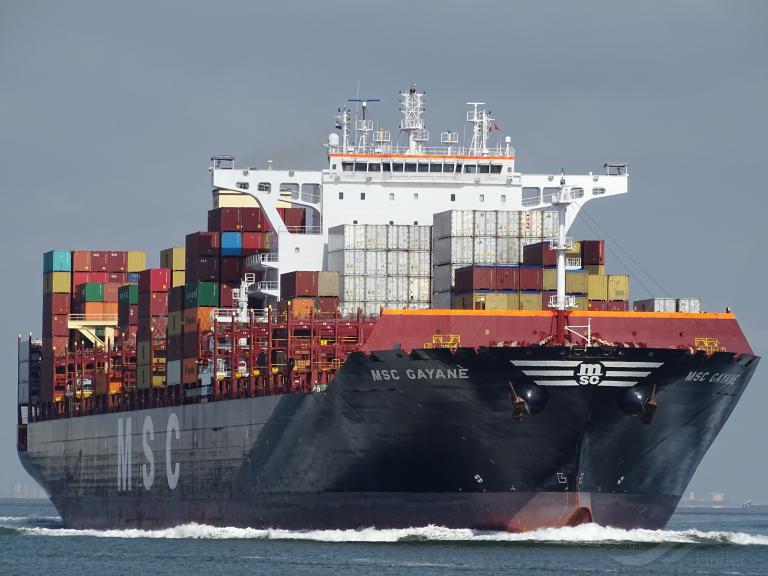 MSC GAYANE photo
