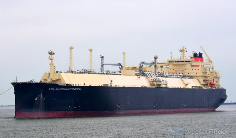 LNG SCHNEEWEISSCHEN photo