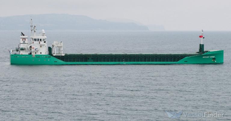 ARKLOW VIKING