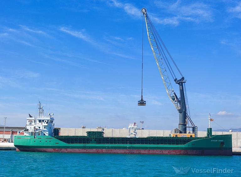 ARKLOW VIKING