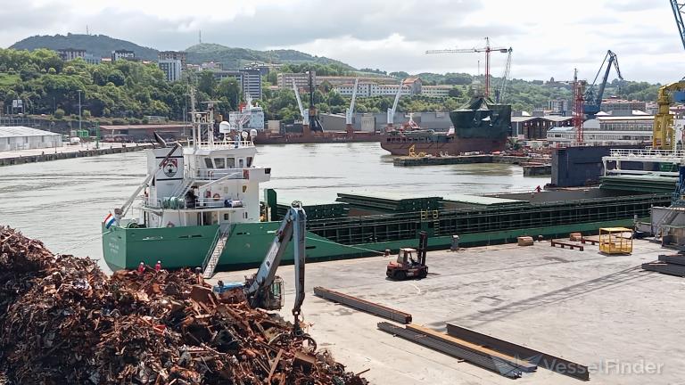 ARKLOW VIKING