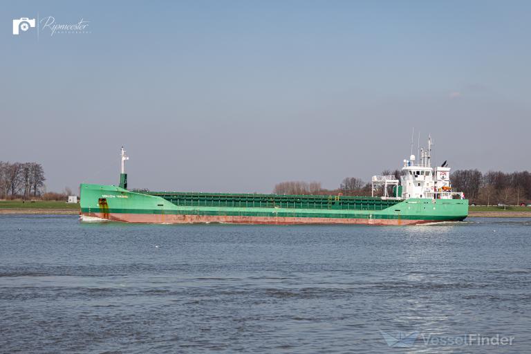 ARKLOW VIKING